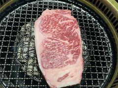 射和牛M9+级冷藏熟成和牛-觅福里•熟成和牛餐厅