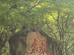 -杭州黄龙洞