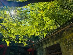 -苍岩山风景名胜区