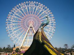 -七彩云南欢乐世界