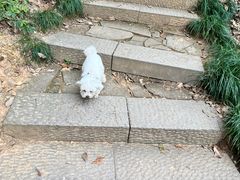 -杭州半山国家森林公园