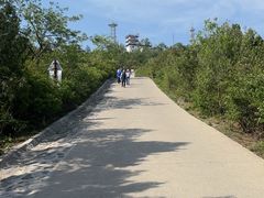 -北京西山国家森林公园