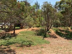 -威勒比开放式动物园