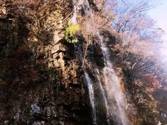 -龙道沟景区