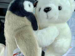 -芜湖新华联大白鲸海洋公园