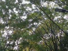 -森林公园(尖草坪区)