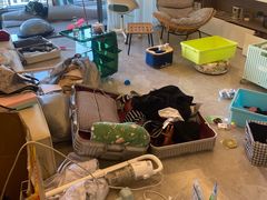 -骆驼日式搬家收纳整理