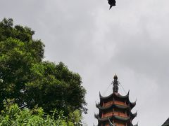 -邵顺兴锅盖面(金山宝地店)