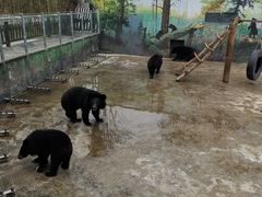 -西安秦岭野生动物园