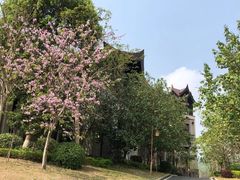 -清远熹乐谷温泉度假酒店