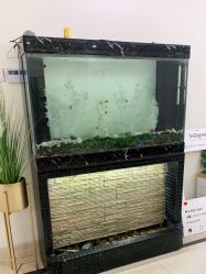 -VE专注问题肌·赛诺龙&科学美肤中心