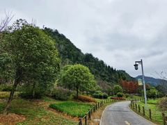 -花溪公园