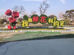 -南通鲜花小镇