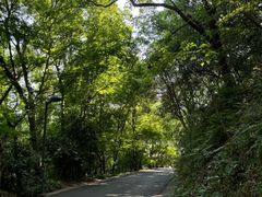 -西湖风景区-江洋畈生态公园