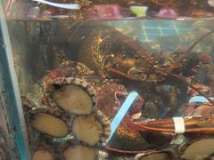 -和源祥·日照菜扛把子(万平口一店)