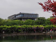 -嘉定紫藤园