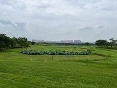 -盘龙城国家考古遗址公园