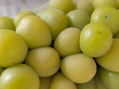 -马陆小张葡萄园农家乐