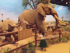 -陕西自然博物馆