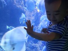 -南昌融创海世界