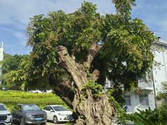 -福建师范大学(仓山校区)