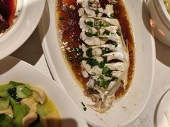 -金美华轩(东方路齐鲁店)