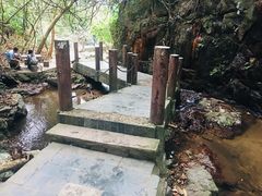 景点-阳台山森林公园