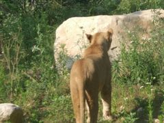 -西安秦岭野生动物园