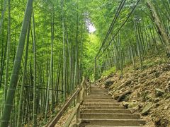 -藏龙百瀑风景区