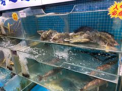 -胖姐渔村(中源大道店)