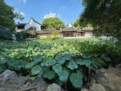 -上海醉白池公园