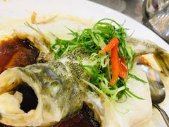 清蒸炉鱼-尖沙咀酒店(大沥店)