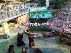 -深圳野生动物园
