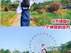-万绿园