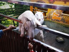 -上海大自然野生昆虫馆(东方明珠·爬宠昆虫探索中心)