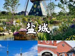 -荷兰花海