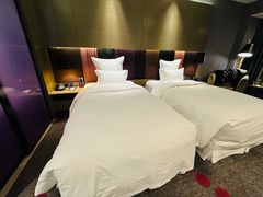 -南京禄口机场雅高铂尔曼大酒店