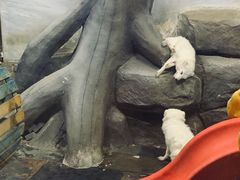 -梦幻海洋王国(吾悦广场张家港店)