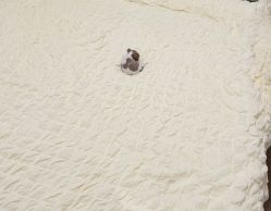 -Oasis Beauty水磨坊科技美肤中心