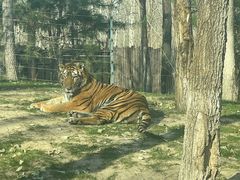 -北京野生动物园