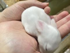 -上海大自然野生昆虫馆(东方明珠·爬宠昆虫探索中心)