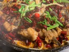 -老板恋上鱼(恒隆广场店)