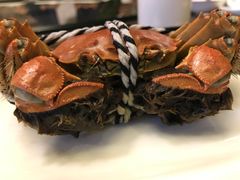 -新光酒家·河豚·海鲜·蟹料理(浦东店)