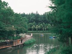 -上海浦江郊野公园-3号停车场