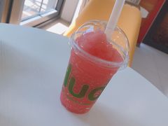 -Salud撒露欧洲冻酸奶(798艺术区店)