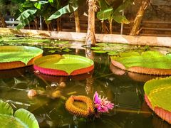 -国家植物园南园