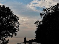 -上海吴淞炮台湾国家湿地公园