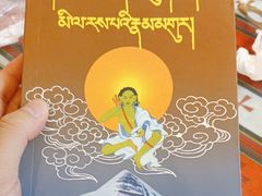 -如意林卡藏餐吧 (九寨沟店)