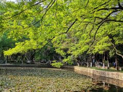 -安徽大学(龙河校区)