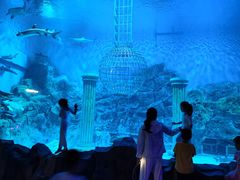 -芜湖新华联大白鲸海洋公园